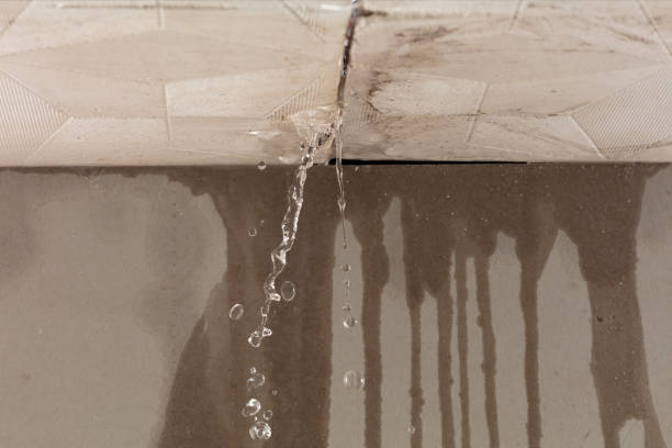Professional Flood Damage Cleanup technician working in Caseyville, IL